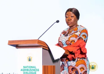 Trade minister calls for removal of bureaucratic bottlenecks at Noepe‑Akanu joint border post
