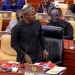 Majority Leader demands accountability from Afenyo-Markin over security recruitment allegations
