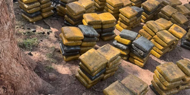 Police arrest a rickshaw rider with 397 slabs of suspected cannabis in Techiman