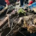 9 dead, 33 injured in Kintampo road crash
