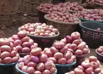 Ministry of Trade facilitates deal to resume cross-border onion trade