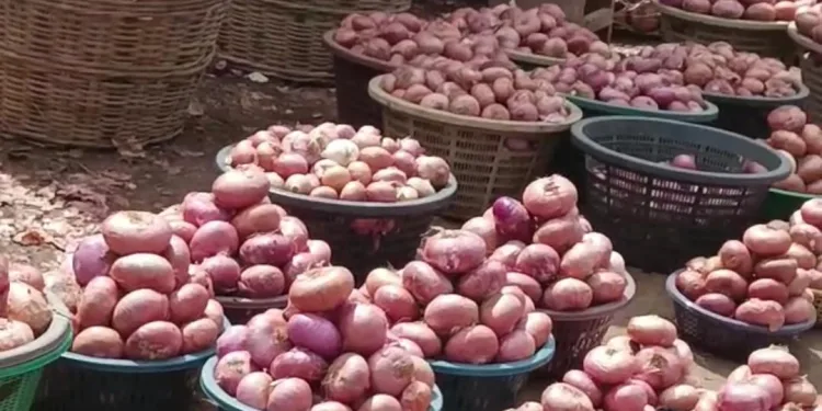 Ministry of Trade facilitates deal to resume cross-border onion trade