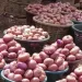 Ministry of Trade facilitates deal to resume cross-border onion trade