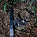 Suspected armed robber killed in Police operation at Cherimbo
