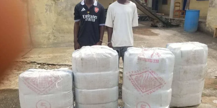 Suspects arrested for Narcotic drugs possession at Offinso ‎