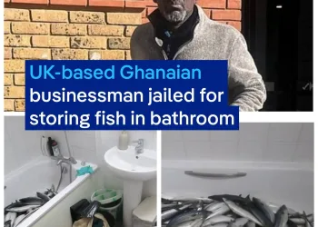 UK‑based Ghanaian businessman jailed for food safety breaches