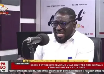 NDC running TOR as corn mill centre — Nana Kay