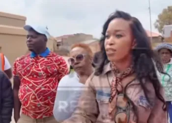 We are fixing our continent, fix your country; we can’t do this in Ghana –  South African protesters 