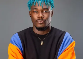 Stonebwoy is more of a mentor and brother than friend – Camidoh
