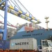 Importers, Exporters back Shippers’ Authority’s move to cap container charges