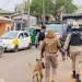 NACOC clamps down on organised drug trafficking networks in parts of Eastern, Greater Accra regions