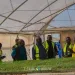 Maphlix farms to supply 3,000 tonnes of tomatoes to boost local market