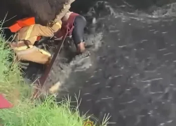 Fire Service retrieves unidentified man’s body from Asylum down drainage