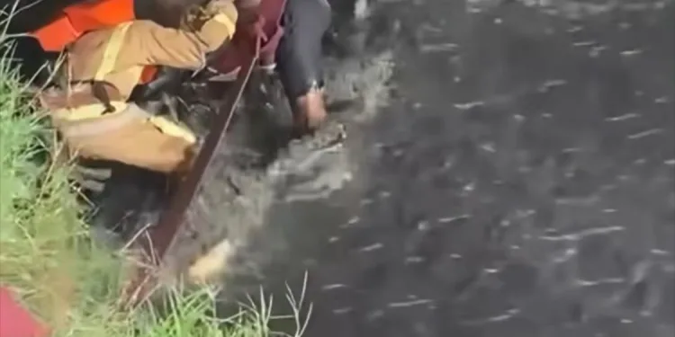 Fire Service retrieves unidentified man’s body from Asylum down drainage
