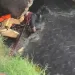 Fire Service retrieves unidentified man’s body from Asylum down drainage