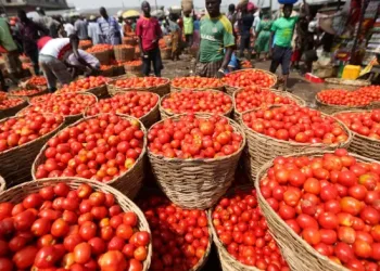 Ghana welcomes Burkina Faso’s lift on tomato export suspension