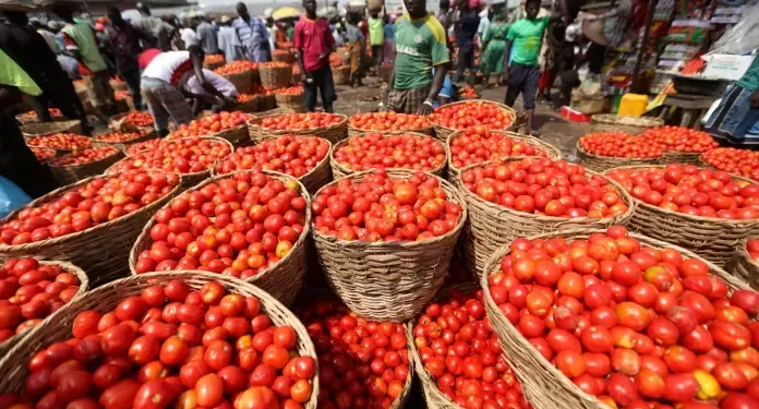 Ghana welcomes Burkina Faso’s lift on tomato export suspension