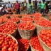 Ghana welcomes Burkina Faso’s lift on tomato export suspension