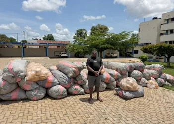 Police intercept suspected narcotics worth over GHS 2 million, arrest suspect for bribery