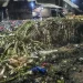 Zoomlion Kenya begins major transformation of Nairobi waste management system