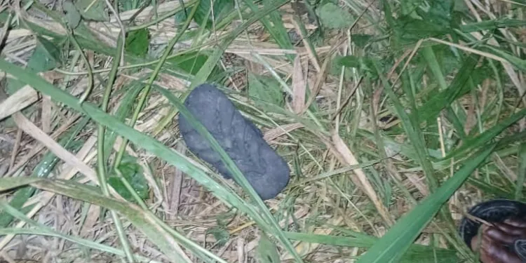2-year-old’s body found in bush after 3-day search in Assin Awiafitaamu