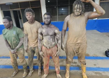 NAIMOS arrests four armed illegal miners in anti-galamsey operation at Dominase
