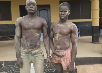 NAIMOS destroys 35 changfan machines, arrests 2 at Merewa-Awaso