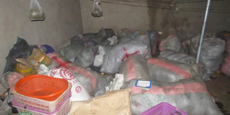 NACOC seizes 2.3 tonnes of suspected cannabis worth GH¢1.18m in raid