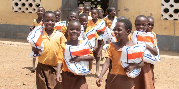 School mosquito nets are not poisonous – Ghana Health Service