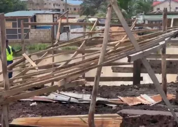 Ayawaso West Assembly demolishes illegal cattle ranch at Santana community