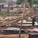 Ayawaso West Assembly demolishes illegal cattle ranch at Santana community