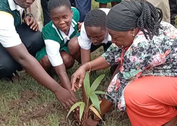 NADMO, Ga Central Assembly plant trees at Odorgonno SHS in ‘Tree for Life’ drive