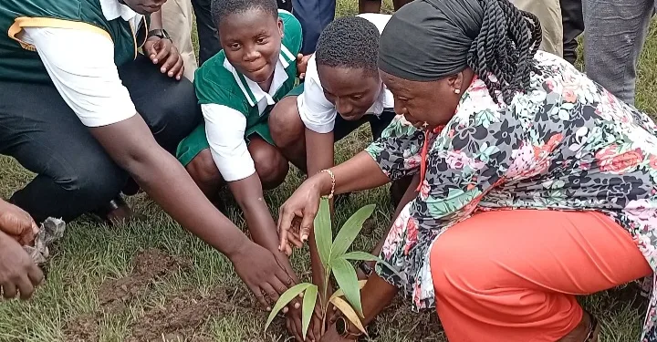 NADMO, Ga Central Assembly plant trees at Odorgonno SHS in ‘Tree for Life’ drive
