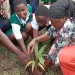 NADMO, Ga Central Assembly plant trees at Odorgonno SHS in ‘Tree for Life’ drive