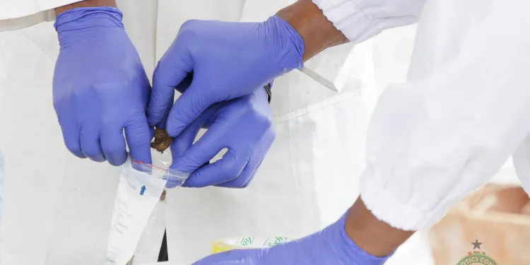 NACOC, GSA conduct scientific testing of seized drugs ahead of court-ordered destruction
