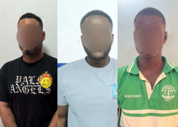 Adwoa Safo’s brother, eight others granted GH₵500k bail over shooting incident