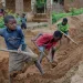 CHRAJ issues ‘red card’ to child labour as Ghana marks world day against child labour