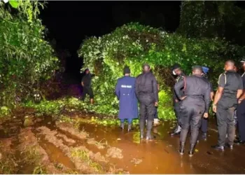 Woman, 27, found dead hanging on tree in Atwima Mponua
