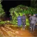 Woman, 27, found dead hanging on tree in Atwima Mponua