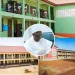 Ex-Finance Minister unveils huge education investment in the Northern Region