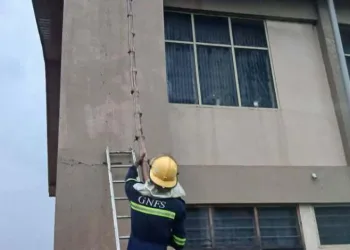 Bee swarm removed from Vakpo SHS following attack on student and teacher