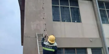 Bee swarm removed from Vakpo SHS following attack on student and teacher