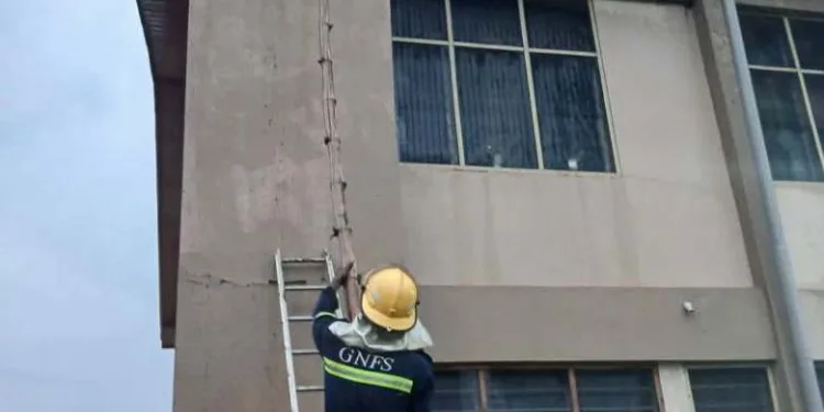 Bee swarm removed from Vakpo SHS following attack on student and teacher