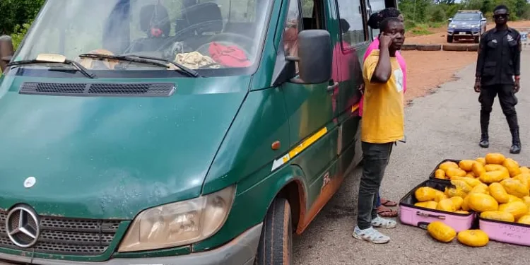 Police reject alleged GH¢300,000 bribe during drug bust; two arrested