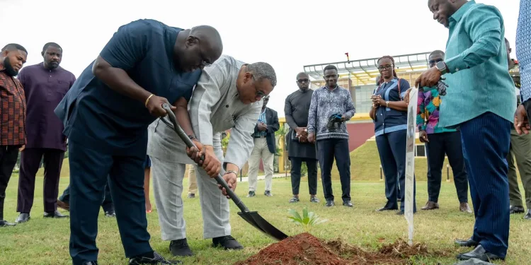 Chief of Staff plants shea tree at Jubilee House to mark Shea Month