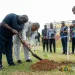 Chief of Staff plants shea tree at Jubilee House to mark Shea Month
