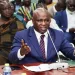 Some ‘Nkoko Nkitinkiti’ beneficiaries have consumed the birds – Agric Minister