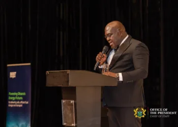 Africa must process its minerals locally to create jobs – Chief of Staff
