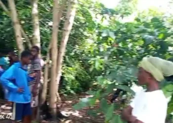 3-year-old girl found dead with body parts missing at Sefwi Awaso