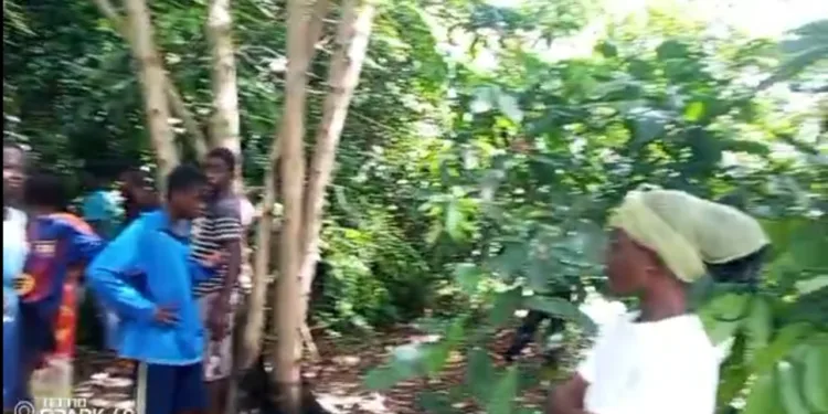 3-year-old girl found dead with body parts missing at Sefwi Awaso